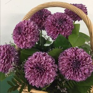 Meet your Posher, Jenny